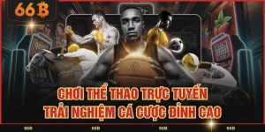 Chơi Thể Thao Trực Tuyến