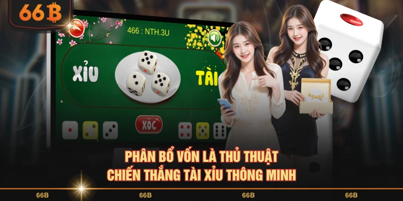 Phân bổ vốn là thủ thuật chiến thắng Tài Xỉu thông minh