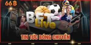 tin tức bóng chuyền